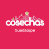 Cosechas guadalupe
